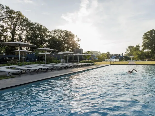 Schwimmen im Freibad auf dem Roan Campingplatz De Twee Bruggen.